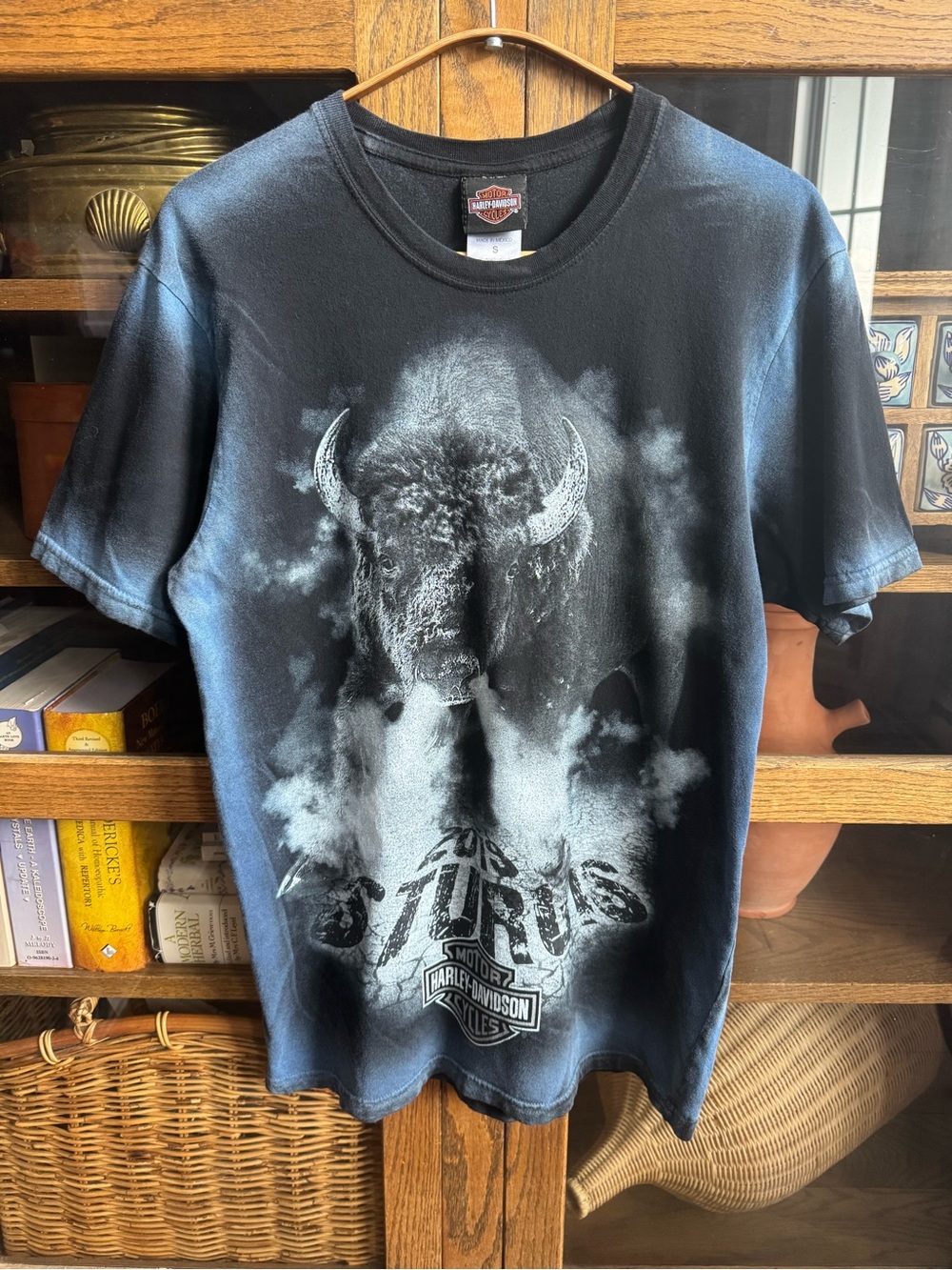 Harley-Davidson Black Tee with Bison Graphic
